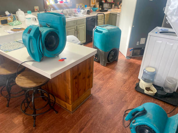 Best 24-hour water damage restoration  in Wedgefield, SC