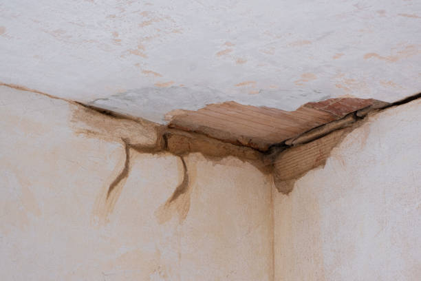 Best Residential water damage restoration  in Wedgefield, SC