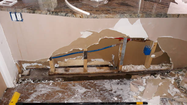 Best Water damage restoration experts  in Wedgefield, SC