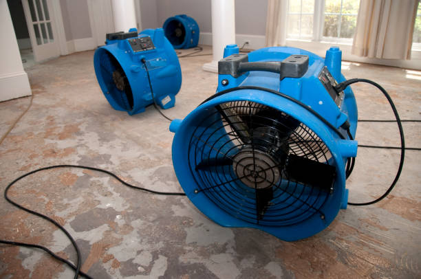 Best Mold removal after water damage  in Wedgefield, SC